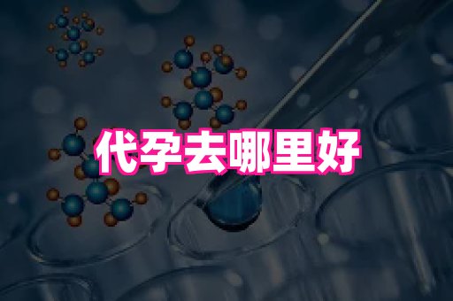 国际助孕网站 2