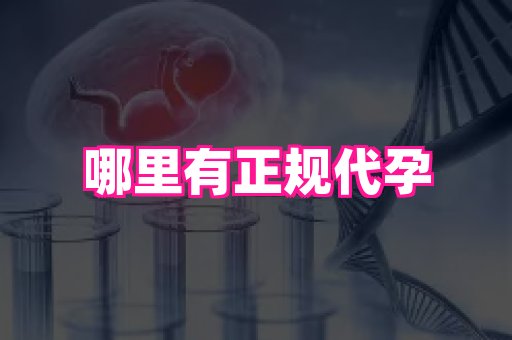国际助孕网站 3