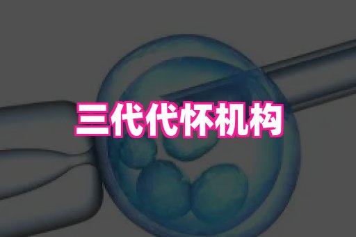 国际助孕网站 4